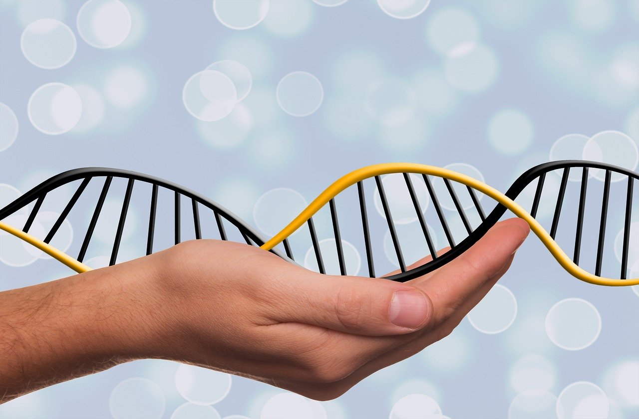 DNA-Doppelhelix